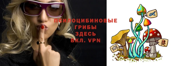 скорость Алзамай