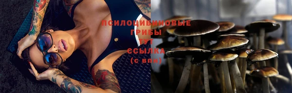 ECSTASY Алексин