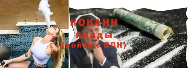индика Алексеевка