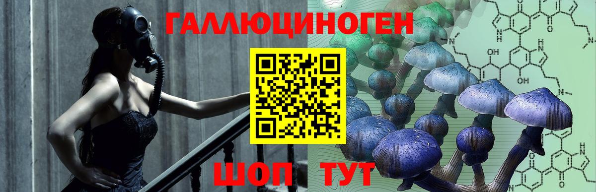 Галлюциногенные грибы мухоморы Новороссийск