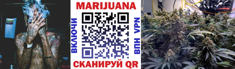 закладки  Новороссийск  Бошки Шишки сатива 